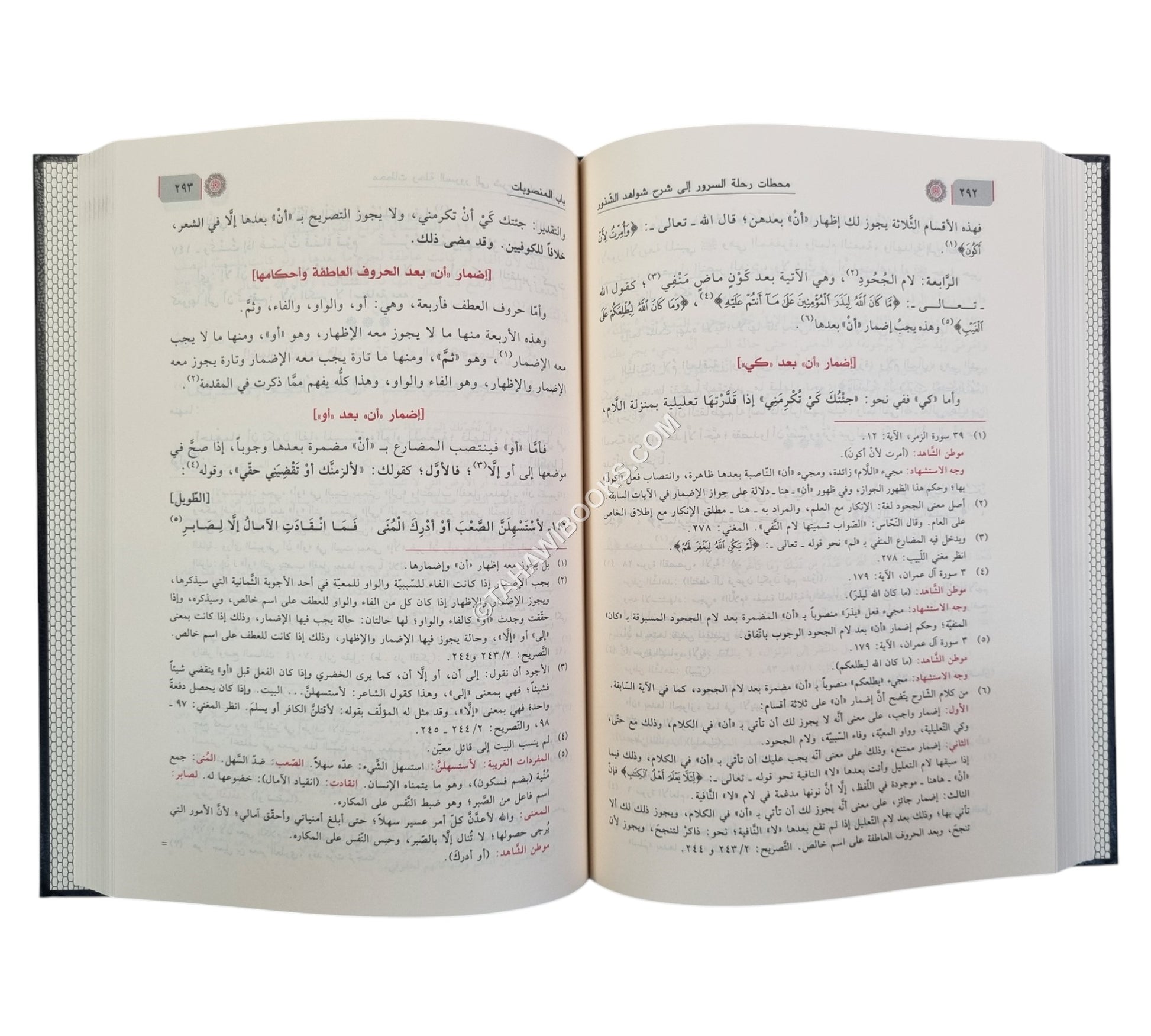 شرح شذور الذهب في معرفة كلام العرب-ابن كثير