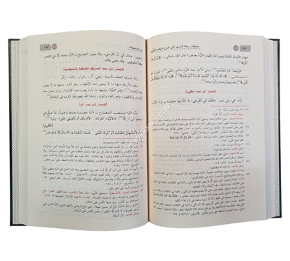 شرح شذور الذهب في معرفة كلام العرب-ابن كثير