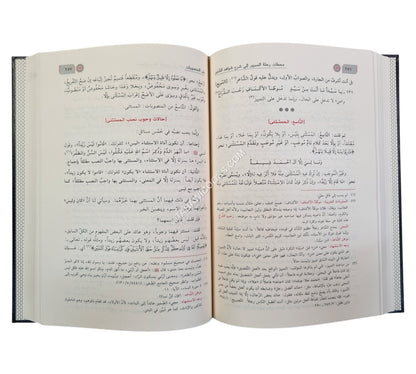شرح شذور الذهب في معرفة كلام العرب-ابن كثير