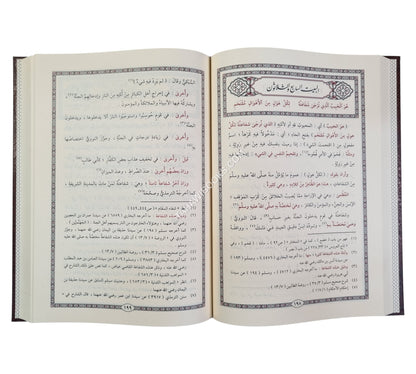 شرح البردة المسمى مشارق الأنوار