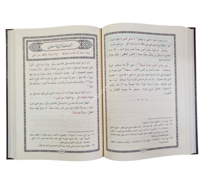 شرح البردة المسمى مشارق الأنوار