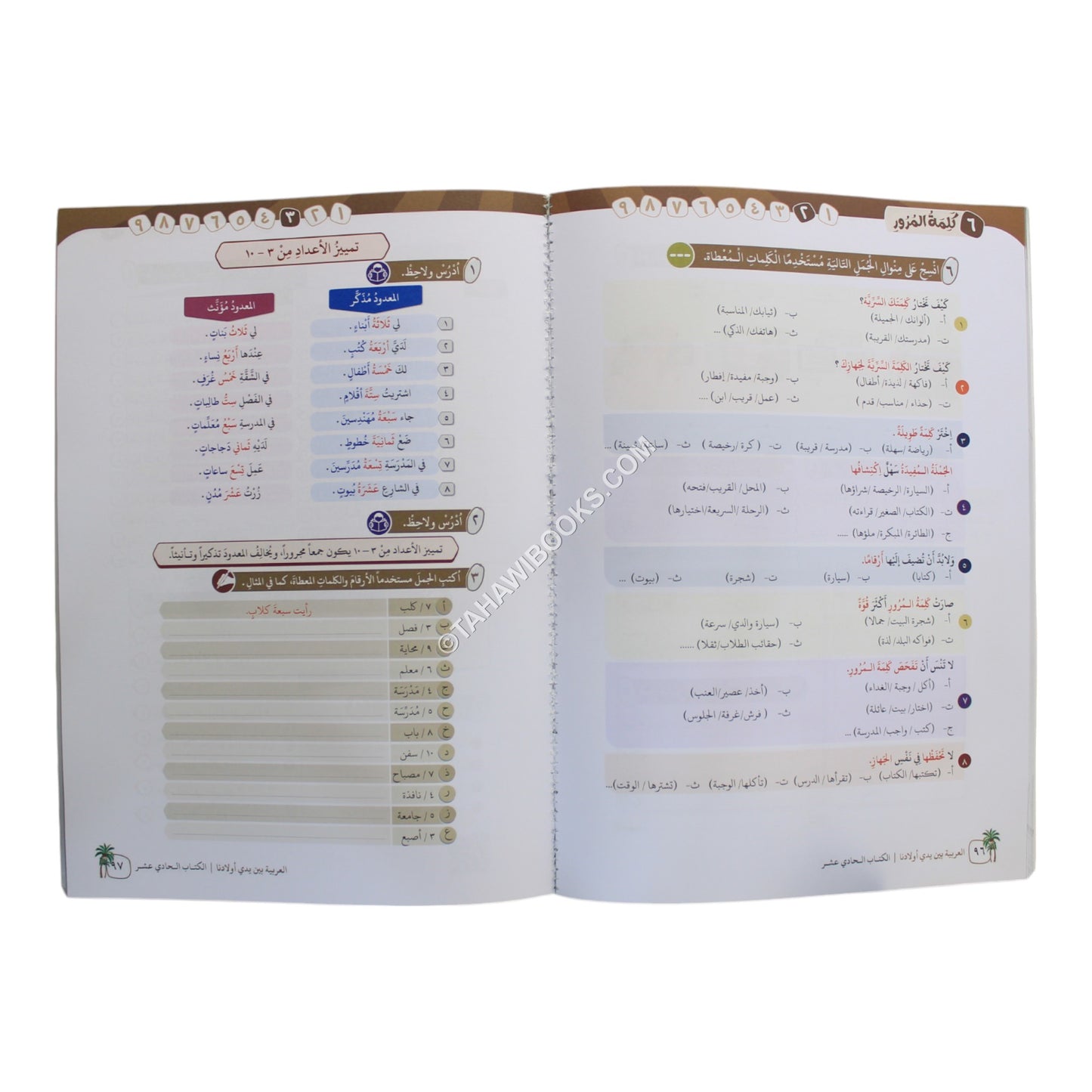 العربية بين يدي أولادنا طالب 11