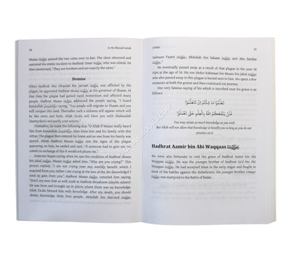 In the Blessed Lands (History of Jordan and Palestine)