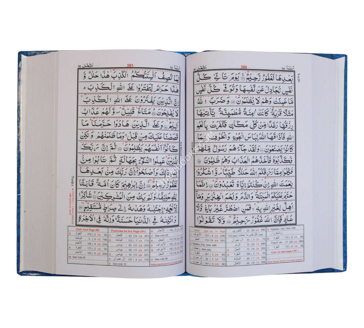 Mutashabihat 13 line Quran