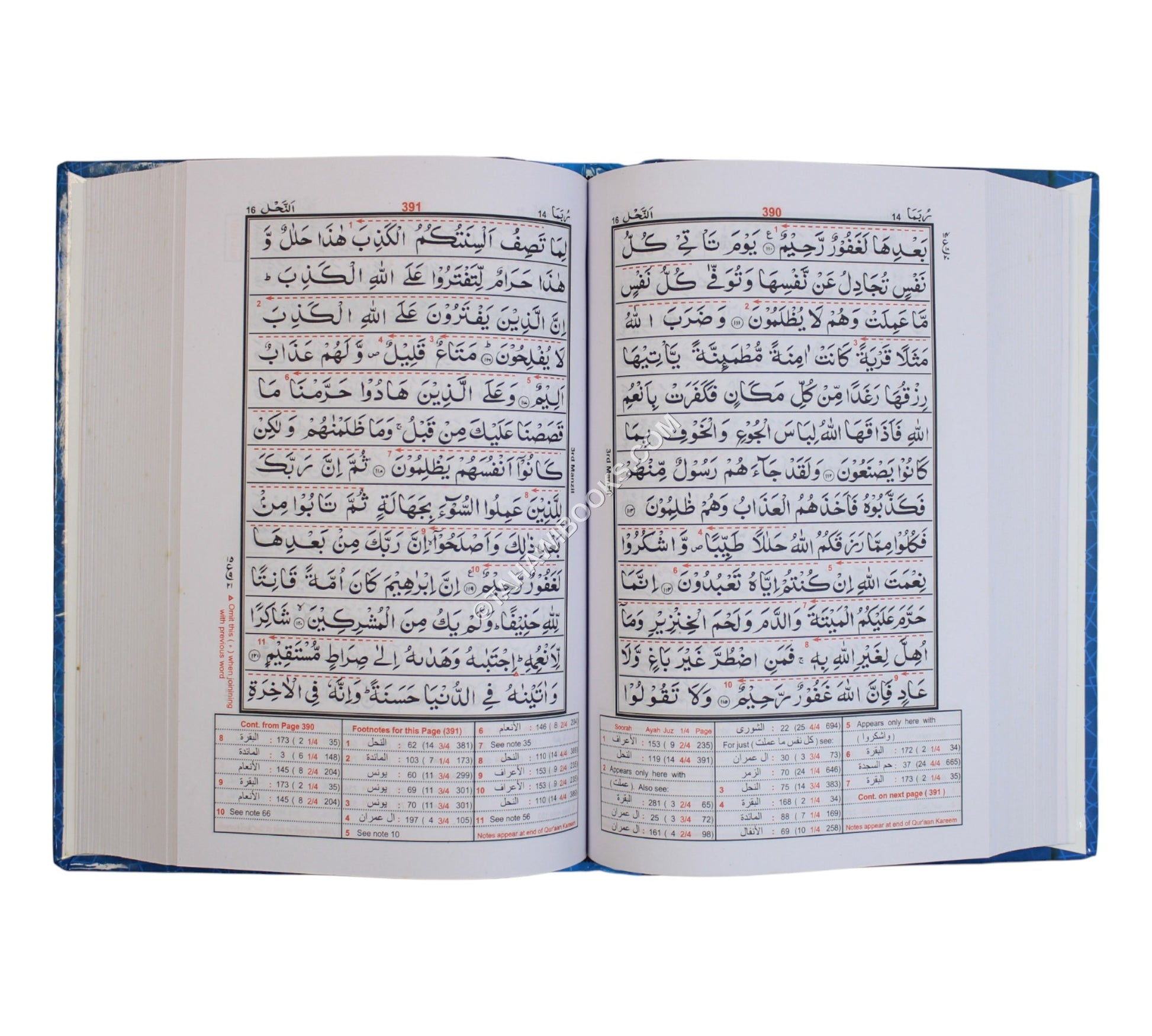 Mutashabihat 13 line Quran