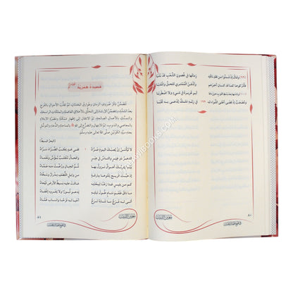 معين اللبيب في جمع قصائد الحبيب